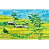 Công ty Du Lịch Thanh Niên Mới gửi đến khách hàng lịch khởi hành Land Tour du lịch Miền Bắc 2020 giá rẻ chỉ từ 1.480.000 đ. 