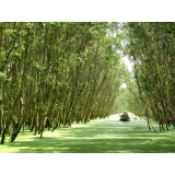 Chúng tôi cung cấp dịch vụ làm visa nhập cảnh vào Việt Nam và mở tour du lịch Việt Nam tự túc cho Việt Kiều. Chương trình tour du lịch Việt Nam tự túc được thiết kế chuyên nghiệp và bạn hoàn toàn chủ động chương trình tour du lịch