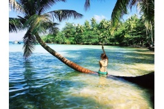 Việt Nam sở hữu đường bờ biển dài cùng hệ thống hải đảo đa dạng, trong đó có 8 hòn đảo đã trở thành biểu tượng du lịch quyến rũ bậc nhất. Đến với những địa điểm này, du khách không chỉ được chiêm ngưỡng bức tranh sơn thủy hữu tình mà còn được tận hưởng kh