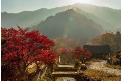 Công Ty Du Lịch Thanh Niên Mới chuyên cung cấp dịch vụ làm visa du lịch Nhật Bản và Tour du lịch Nhật Bản giá rẻ xin giới thiệu đến các bạn bộ ảnh đẹp về mùa thu Nhật Bản 2019 mới nhất.