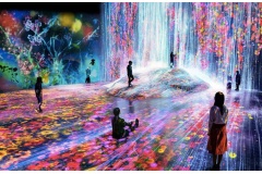 bảo tàng nghệ thuật kỹ thuật số là sự kết hợp hoàn hảo giữa công nghệ hiện đại và nghệ thuật sáng tạo, mang đến cho du khách những trải nghiệm thị giác đầy ấn tượng và khác biệt. Không chỉ đơn thuần là tham quan, bạn còn được “hòa mình” vào không gian ngh