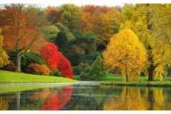 Mình xin giới thiệu bộ ảnh mùa thu nước Anh tuyệt đẹp được chụp bởi nhiếp ảnh gia Kyle Finn Dempsey đã khiến nhiều khách du lịch thế giới yêu thích.