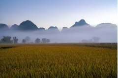 Vào tháng 9, Cánh đồng lúa ở Cao Bàng vào mùa gặt lúa tạo nên phong cảnh rất đẹp, thu hút nhiều khách du lịch và nhiều nhất là các bạn đam mê nhiếp ảnh