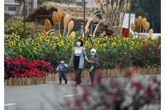 Một con đường hoa tết 2021 nằm ở khu đô thị Splendora, Hoài Đức, Hà Nội đã mở cửa từ ngày 07/02/2021 để phục vụ người dân chơi xuân.