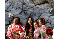 Tiếp tục chương trình du lịch thế giới qua ảnh, Newyouth Tourism mới bạn ngắm cảnh đẹp mùa hoa Anh Đảo ở Nhật Bản 2021 với những bức ảnh tuyệt đẹp.