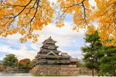 Từ tháng 9 – 11 là khoảng khắc khách du lịch chiêm ngưỡng cảnh đẹp mùa thu Nhật Bản. Vào những năm gần đây cảnh đẹp mùa thu Nhật Bản ở tỉnh Nagano và Niigata được rất nhiều khách du lịch quan tâm và chú ý.