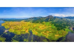 Mời bạn cùng chiêm ngưỡng vẻ đẹp hùng vĩ và nên thơ của Tây Nguyên qua những bức ảnh ấn tượng nhất. Từ núi rừng bạt ngàn, thác nước trắng xóa đến những khoảnh khắc bình yên giữa đại ngàn