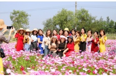 Từ giữa tháng 2, cánh đồng hoa cánh bướm ở xã Thạch Khê, huyện Thạch Hà nở rộ thu hút rất nhiều khách du lịch đến tham quan và chụp ảnh.