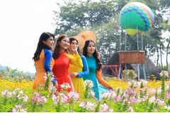 Một cánh đồng hoa ở Huyện Hóc Môn, TPHCM đã trở thành một địa điểm du lịch thú vị dược rất nhiều người dân đến vui chơi, giải trí và chụp ảnh.