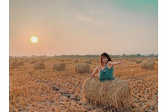Một cánh đồng rơm tại Đồng có khung cảnh mộc mạc, gần gũi nhưng đầy chất thơ, nơi đây mang đến background tuyệt đẹp cho những bức ảnh ấn tượng, khiến nhiều người thích thú tìm đến trải nghiệm và lưu lại những khoảnh khắc độc đáo.