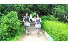 Cù Lao Tân Phong là một trong những điểm đến nổi bật của tỉnh Tiền Giang, thu hút du khách bởi vẻ đẹp miệt vườn đặc trưng của miền Tây sông nước. Nơi đây ngày càng trở thành lựa chọn hàng đầu cho những ai muốn tìm về không gian yên bình, gần gũi với thiên