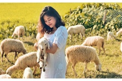 Một địa điểm du lịch ở Khánh Hòa mới nổi là Đồng Cừu Suối Tiên. Nơi đây được nhiều bạn trẻ lựa chọn làm địa điểm du lịch cuối tuần để thư giãn và chụp ảnh.