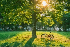 Có một mùa thu rất khác ở những ngôi làng ở Nhật bản không giống như những gì khách du lịch thường nghĩ đến như mùa thu lá vàng đỏ. Và có một thu nhẹ nhàng rất đẹp ở vùng thôn quê Nhật Bản mời bạn chiêm ngưỡng.