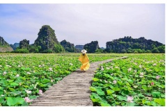 Một đầm sen ở dưới chân núi Ngọa Long của Hang Múa ở tỉnh Ninh Bình được các tín đồ du lịch phong cho làm đầm sen đẹp nhất Việt Nam. Đầm sen ở tỉnh Ninh Bình thu hút rất nhiều khách du lịch để chụp ảnh và check-in.