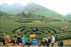 Cao Nguyên Mộc Châu là địa điểm du lịch yêu thích của những người yêu thiên nhiên, yêu cái đẹp của núi rừng và hoa. Cao nguyên Mộc Châu có những nét đặc sắc văn hóa và vẻ đẹp rất riêng mà không nơi đâu có được.