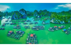 Vịnh Lan Hạ là địa điểm du lịch nổi tiếng của tỉnh Hải Phòng và Việt Nam. Cùng với Vịnh Hạ Long là hai Vịnh có cảnh đẹp nhất ở miền bắc Việt Nam. Công Ty Du Lịch Thanh Niên Mới mời bạn chiêm ngưởng cảnh đẹp ở Vịnh Lan Hạ qua những bức ảnh tuyệt đẹp.