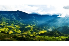 Hãy cùng khám phá 7 thung lũng đẹp nhất Việt Nam – nơi hội tụ vẻ đẹp thơ mộng, bình yên, mang đến cho bạn những phút giây thư giãn và tận hưởng thiên nhiên trọn vẹn. Từ Thung lũng Mường Hoa, Mai Châu, Bắc Sơn đến Thung lũng Tình Yêu… mỗi nơi đều mang một 