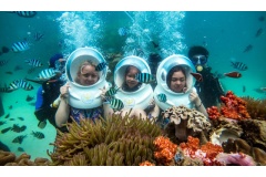 Nếu bạn đang ấp ủ kế hoạch khám phá “đảo ngọc” theo cách riêng, đừng bỏ qua những kinh nghiệm du lịch Phú Quốc tự túc được chia sẻ từ chính các du khách đã từng trải nghiệm – chắc chắn sẽ giúp bạn có một chuyến đi trọn vẹn và đáng nhớ hơn.