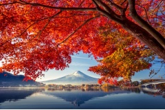 Chúng tôi xin mới các bạn du lịch thế giới qua ảnh chiêm ngưỡng cảnh đẹp mùa thu Nhật Bản ở hồ Kawaguchi gần núi Phú Sĩ. Hồ Kawaguchi là lựa chọn hàng đầu của người dân Nhật Bản