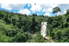 Thác Bobla có tên gọi khác là thác Liên Đầm có phong cảnh thiên nhiên tuyệt đẹp, được nhiều bạn trẻ yêu thích khám phá, trải nghiệm. Thác Bobla là địa điểm du lịch Lâm Đồng rất được yêu thích