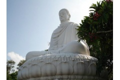 Vũng Tàu không chỉ là điểm đến lý tưởng cho những ai yêu biển mà còn sở hữu hệ thống các địa điểm tham quan đa dạng và hấp dẫn. Đặc biệt, du lịch tâm linh tại đây đang trở thành xu hướng với những ngôi chùa nổi tiếng, thu hút hàng ngàn lượt khách mỗi năm.