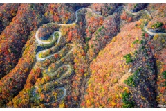 Đèo Irohazaka rất nổi tiếng ở Nhật Bản và thế giới. Vào mùa thu, cảnh đẹp ở đèo Irohazaka Nhật Bản đầy màu sắclung linh khiến cả thế giới phải xao xuyến. Đây là điểm du lịch phải đến mỗi lần mỗi lần mùa thu đến ở Nhật Bản.