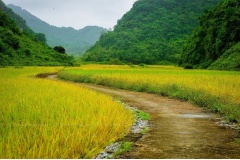 Cao Bằng nằm ở phía Bắc Việt Nam có những địa điểm du lịch hoang sơ chưa được khai phá. Vì thế, cảnh đẹp ở Cao Bằng khiến nhiều người yêu thích và đam mê.