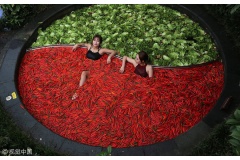 Tại Trung Quốc, một xu hướng du lịch mới lạ đang thu hút sự quan tâm của nhiều du khách – những “lẩu người” khổng lồ độc đáo. Đây thực chất là các bồn tắm thảo dược hoặc suối nước nóng được thiết kế theo phong cách ấn tượng, mang đến trải nghiệm thư giãn 