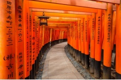 Khám phá 15 địa điểm du lịch Nhật Bản được yêu thích nhất do du khách quốc tế bình chọn trên TripAdvisor. Cập nhật ngay những tọa độ vàng cho hành trình khám phá xứ Phù Tang của bạn!