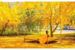 Tiếp tục hành trình “du lịch thế giới qua ảnh”, chúng tôi mời bạn tìm hiểu mùa thu Hàn Quốc 2020. Mùa thu Hàn Quôc 2020 rất đẹp, yên bình, đầy màu sắc nhưng đáng tiến chúng ta không đi du lịch Hàn Quốc được.