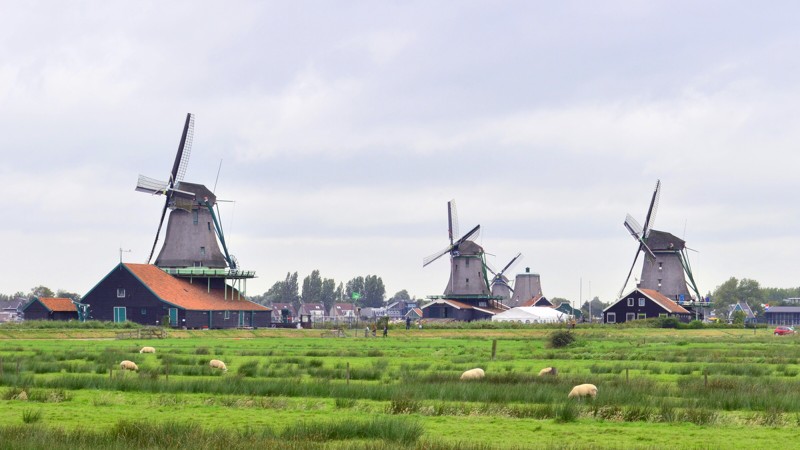 Cánh đồng với cối xay gió Zaanse Schans, Hà Lan